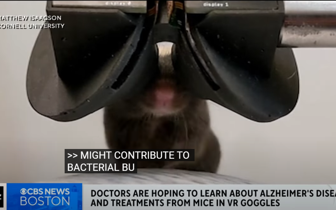 Exploring Memory Through Virtual Reality: A Fascinating Experiment on Mice